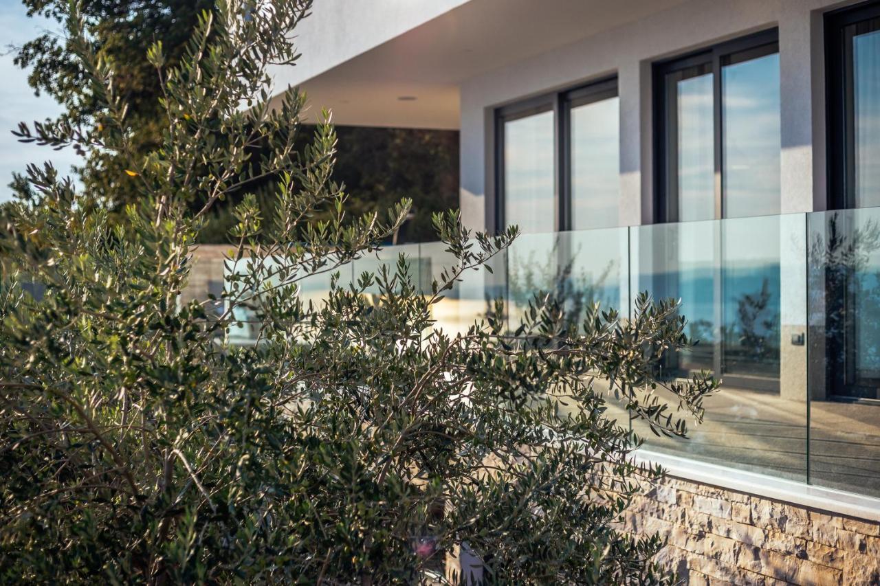 Villa Dispet With Heated Pool, Jacuzzi, Sauna And Cinema Celina Exterior photo